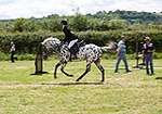 Wanborough Horse and Dog show